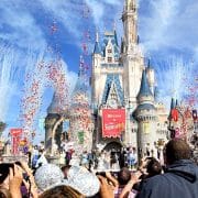 ウォルト・ディズニー・ワールド（WDW）でインターン！