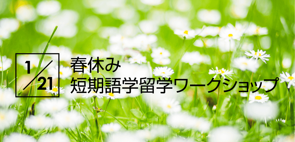 春休みの短期語学留学ワークショップを開催します。その場で見積もできて、参加者だけに教える割引情報も！