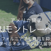 csumbtop