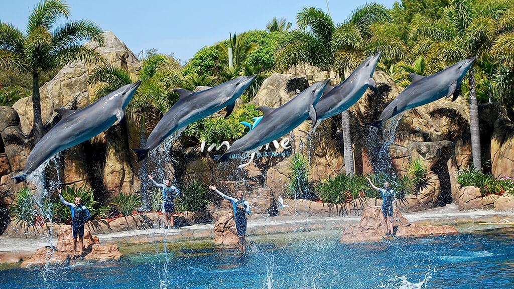 sea-world