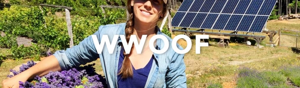 カナダでファームステイを体験できるWWOOF（ウーフ）の魅力