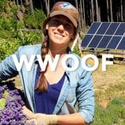 カナダでファームステイを体験できるWWOOF（ウーフ）の魅力