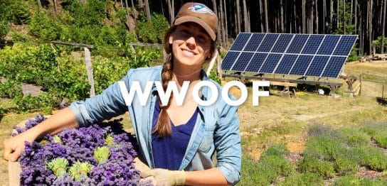 カナダでファームステイを体験できるWWOOF（ウーフ）の魅力