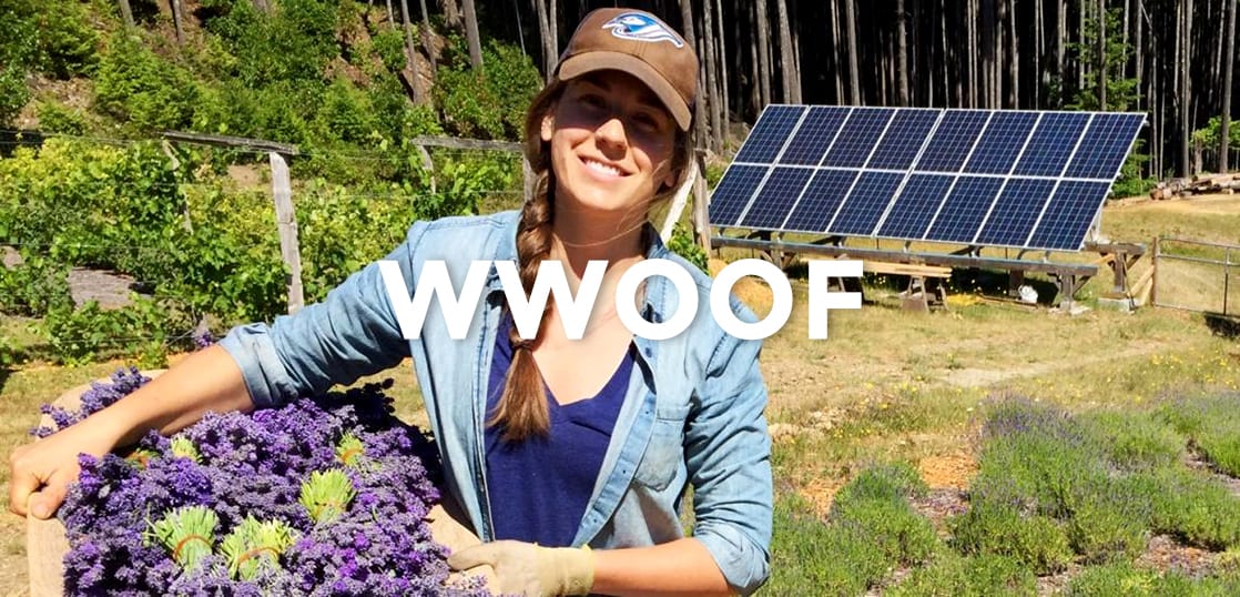 カナダでファームステイを体験できるWWOOF（ウーフ）の魅力