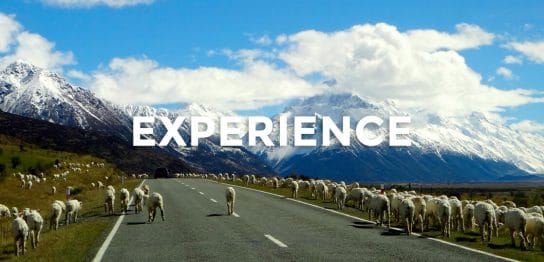 【留学体験談】ニュージーランドでの高校3年間の留学で得た経験