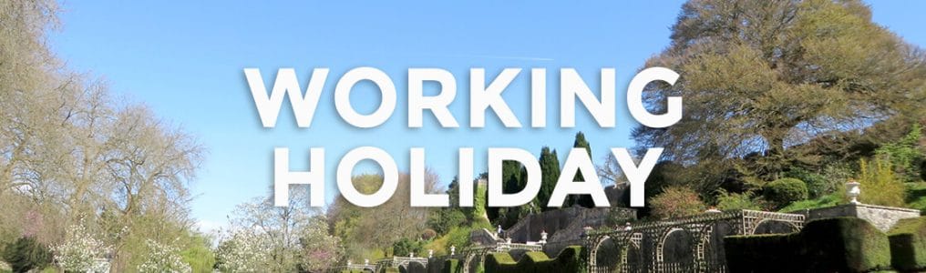 【留学体験談】イギリスワーキングホリデーでの仕事や旅行の体験談