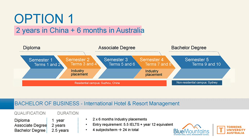 BMIHMS China Option1