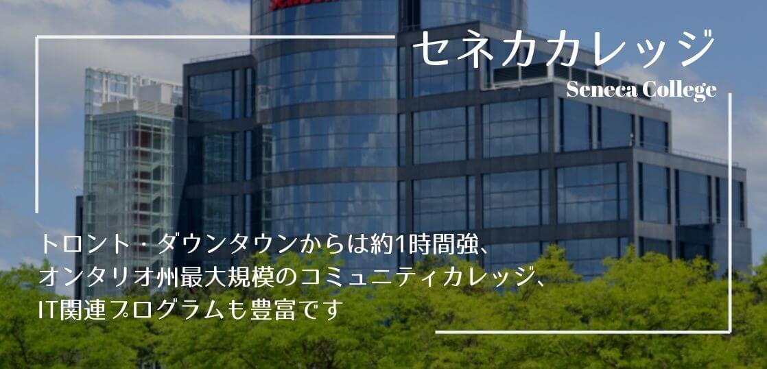 トロントit留学 ノースシリコンバレーでエンジニアを目指す 留学コラム Iae留学ネット
