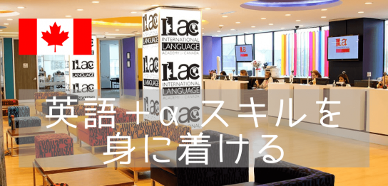 休学留学、海外で就職準備、ビジネスについて学ぶ ILAC International College