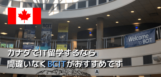 bcitinfotop