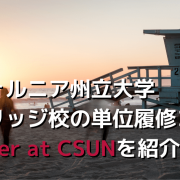 csuntsenginfotop