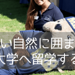 カリフォルニア州立大学モントレーベイ校で美しい海岸と自然に囲まれた学部履修留学を（2026年）