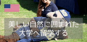 カリフォルニア州立大学モントレーベイ校で美しい海岸と自然に囲まれた学部履修留学を（2026年）