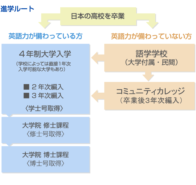 編入留学で海外大学進学を目指すという新しい選択肢 留学コラム Iae留学ネット