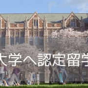 名門ワシントン大学で国際問題に取り組む休学認定留学！グローバルコネクション（Global Connections）のご紹介