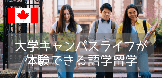 語学留学ができるビクトリア大学 (UVIC) 3つの英語プログラム（2024年版）