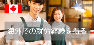 ワーキングホリデーでは英語環境で働きたい方にお勧め!