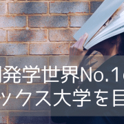 【開発学分野 世界1位！】サセックス大学のファウンデーション&インターナショナルイヤーワン