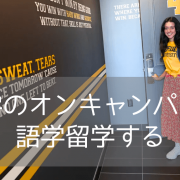 サフォーク大学で差をつける！ボストン語学留学でアカデミックスキルを磨く