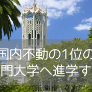 オークランド大学（The University of Auckland）入学のためのファンデーションコースご紹介
