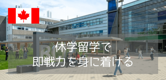 就活前の休学留学に最適！カナダ BCITで1年未満で修了できる実践型Certificateプログラム5選