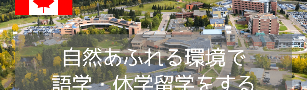 【大学生必見】ただの語学留学で終わらせない！カナダのレイクヘッド大学で「英語＋体験」充実の留学生活