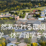 【大学生必見】ただの語学留学で終わらせない！カナダのレイクヘッド大学で「英語＋体験」充実の留学生活