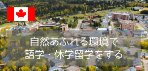 【大学生必見】ただの語学留学で終わらせない！カナダのレイクヘッド大学で「英語＋体験」充実の留学生活