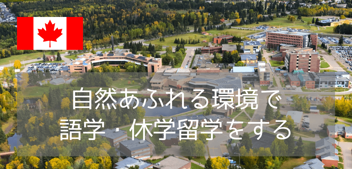 【大学生必見】ただの語学留学で終わらせない！カナダのレイクヘッド大学で「英語＋体験」充実の留学生活