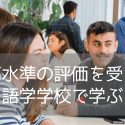 【ニュージーランド留学】LSIオークランド校の魅力を徹底解説！大手の老舗語学学校で過ごす英語ライフ