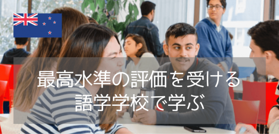 【ニュージーランド留学】LSIオークランド校の魅力を徹底解説!大手の老舗語学学校で過ごす英語ライフ