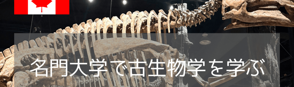 【恐竜学部を目指す】福井の次は世界へ！化石の聖地・アルバータ大学で古生物学を学ぶという選択肢