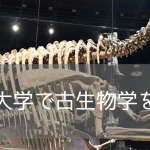【恐竜学部を目指す】福井の次は世界へ！化石の聖地・アルバータ大学で古生物学を学ぶという選択肢