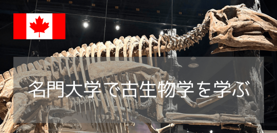 【恐竜学部を目指す】福井の次は世界へ！化石の聖地・アルバータ大学で古生物学を学ぶという選択肢