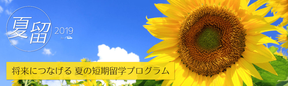 夏留