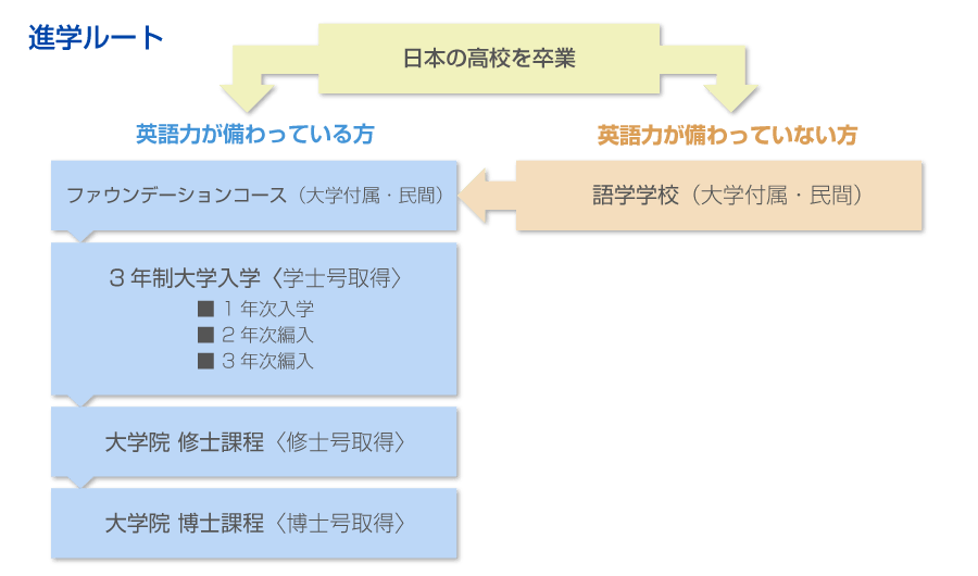 ニュージーランドの大学への進学ルート