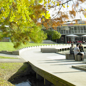 ワイカト大学 The University of Waikato ハミルトン校 Hamilton Campus
