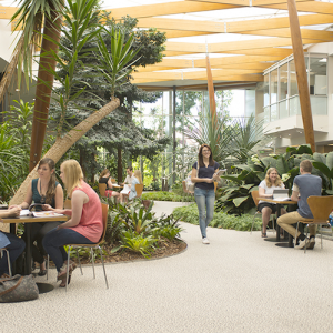 サザンクイーンズランド大学 University of Southern Queensland (USQ) 附属語学学校トゥーンバ校 University of Southern Queensland, English Language Centre Toowoomba Campus