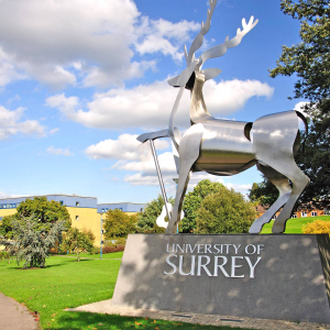 サリー大学 University of Surrey ギルフォード校 Guildford Campus