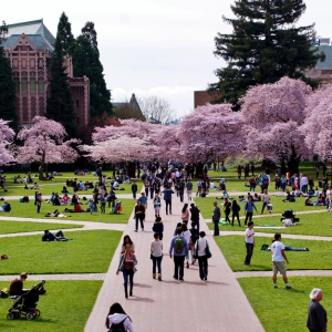 ワシントン大学 University of Washington 附属語学学校 International English Language Program