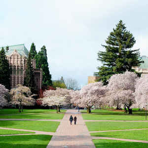 ワシントン大学 University of Washington