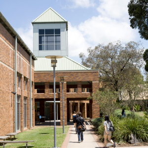 シドニー大学 The University of Sydney カンバーランド校 Cumberland Campus