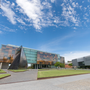 シドニー大学 The University of Sydney