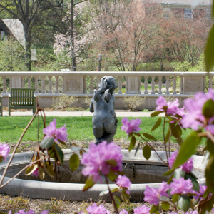 チャタム大学 Chatham University シェイディーサイドキャンパス Shadyside Campus